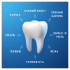 Зубная паста Oral-B Pro-Expert Профессиональная защита 75 мл (8006530090674) - Image 6