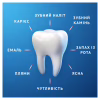 Зубная паста Oral-B Pro-Expert Успокаивающее чувство 75 мл (8006530090773) - Image 6