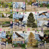 Настольная игра Lord of Boards Лесная суета. Альпы (Forest Shuffle: Alpine Expansion) (укр.) дополнение (LOB2405UA) - Image 4