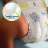 Подгузники Pampers Premium Care Розмір 5 (11-16 кг) 160 шт (8006530223799) - Image 8