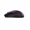 Мышка Canyon CNS-CMSW01P Wireless Purple/Black (CNS-CMSW01P) - Image 4