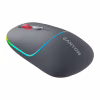 Мишка Canyon MW-22 Dual Band RGB Wireless Dark Grey (CNS-CMSW22DG) - Image 2