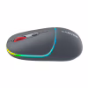 Мышка Canyon MW-22 Dual Band RGB Wireless Dark Grey (CNS-CMSW22DG) - Image 4