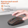 Мишка Meetion BTM100R Wireless/Bluetooth Black (MT-BTM100R-A) - Image 6