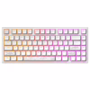 Клавіатура Dark Project ALU81 Terra Nostra PBT RGB Mech G3MS Moonstone White (DPKB_NOSTRA_81_ANSI_WHITE_UA) - Image 2