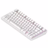 Клавіатура Dark Project ALU81 Terra Nostra PBT RGB Mech G3MS Moonstone White (DPKB_NOSTRA_81_ANSI_WHITE_UA) - Image 3
