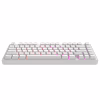 Клавіатура Dark Project ALU81 Terra Nostra PBT RGB Mech G3MS Moonstone White (DPKB_NOSTRA_81_ANSI_WHITE_UA) - Image 6