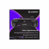 Геймпад GamePro GPX13B 2.4G/BT 5.1/USB/PC/iOS/Android RGB Black (GPX13B) - Image 8