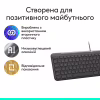 Клавіатура Logitech Signature Slim K620 for Business USB-C UA Graphite (920-013333) - Image 7
