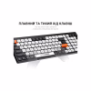 Клавіатура OfficePro SK985BO Bluetooth/Wireless UA Black/White (SK985BO) - Image 7