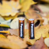 Батарейка Panasonic LR06 Alkaline Power * 10 (LR6REB/10BW) - Image 2