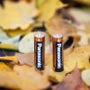 Батарейка Panasonic LR06 Alkaline Power * 20 (LR6REB/20BW) - Image 2