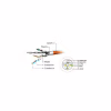 Патч-корд 1.5м S/FTP Cat 6A CU LSZH grey Cablexpert (PP6A-LSZHCU-1.5M) - Image 3