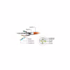 Патч-корд 3м S/FTP Cat 6A CU LSZH green Cablexpert (PP6A-LSZHCU-G-3M) - Image 3