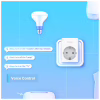 Умная розетка TP-Link Tapo P100 (2-pack) (Tapo P100(2-pack)) - Image 6