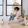 Очисник повітря Shark NeverChange5 Air Purifier Compact Pro (HP072EU) - Image 7