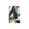 Секатор Bosch Pro Pruner, 12V, 2х3Ah (0.601.9K1.021) - Image 6