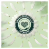 Щоденні прокладки Naturella Сamomile Light 20 шт. (4015400240310) - Image 8