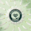 Щоденні прокладки Naturella Camomile Light 52 шт. (8001090604040) - Image 8