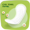 Ежедневные прокладки Naturella Camomile Normal 74 шт. (8006540100806) - Image 3