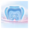 Зубна щітка Oral-B Colors Середньої жорсткості 4 шт. (8001090675521) - Image 4
