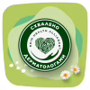 Гігієнічні прокладки Naturella Ultra Normal Plus (Розмір 2) 18 шт. (8006540098257) - Image 9