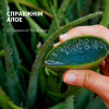 Шампунь Herbal Essences Увлажнение Алоэ 350 мл (8700216211048) - Image 2