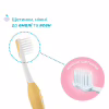 Детская зубная щетка Chicco для первых зубьев, 6-36 мес., 2 шт. (8058664174713) (12082.11) - Image 3