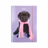 Папка для тетрадей Kite В5 на резинке Studio Pets, картон (SP23-210) - Image 2
