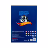 Цветная бумага Kite А4 двухсторонняя Hot Wheels 15л/15 цв (HW24-250) - Image 4