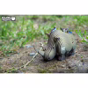Пазл Eugy 3D Зоопарк Носорог (XEG-076) - Image 7