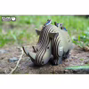 Пазл Eugy 3D Зоопарк Носорог (XEG-076) - Image 8