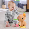 Розвиваюча іграшка Fisher-Price Капібара (HYR54) - Image 9