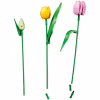 Конструктор LEGO Botanicals Букет тюльпанів (11501) - Image 4