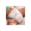 Підгузки Pampers Active Baby Pants Розмір 3 (6-11 кг) 180 шт (8006530305716) - Image 12