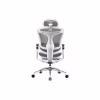 Офісне крісло Sihoo DORO C300 Pro Mesh White (DORO-C300-PRO-M102) - Image 2