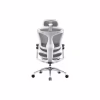 Офисное кресло Sihoo DORO C300 Pro Mesh White (DORO-C300-PRO-M102) - Image 2