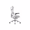 Офісне крісло Sihoo DORO C300 Pro Mesh White (DORO-C300-PRO-M102) - Image 3