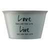 Бульйонниця ARDESTO Way of Life 550 мл Blue (AR3479BL) - Image 4