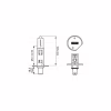 Автолампа Bosch галогенова 55W (1 987 302 011) - Image 5