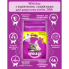 Сухой корм для кошек Whiskas с курицей 300 г (5998749144039/5900951014055) - Image 4