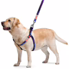 Шлей для собак WAUDOG Nylon с QR-паспортом "NASA21" S (4800-0148) - Image 2