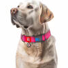 Нашийник для тварин WAUDOG Waterproof з QR паспортом пластиковий фастекс XXL рожевий (25117) - Image 4