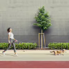 Поводок для собак WAUDOG R-leash светоотражающая лента XS-M до 40 кг 2.9 м розовый (81277) - Image 5