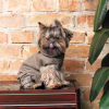 Костюм для тварин Pet Fashion Pf Style S (4823082427956) - Image 5