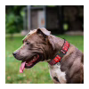 Ошейник для животных WAUDOG Nylon с QR паспортом "Этно красный" металлическая пряжка-фастекс XXL (4535-0133) - Image 3