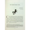 Книга Падіння дому Ашерів та інші історії - Едгар Аллан По КСД (9786171513686) - Image 4