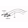 Кабель мультимедійний 3.5mm M to 3.5mm M 1.8m Cablexpert (CCAP-444-6) - Image 3