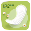 Щоденні прокладки Naturella Camomile Light 100 шт. (8001090603807) - Image 3
