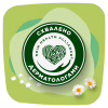 Щоденні прокладки Naturella Camomile Light 100 шт. (8001090603807) - Image 7